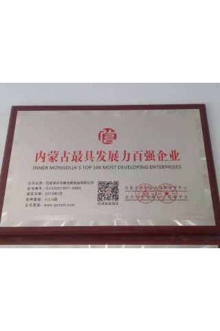 內(nèi)蒙古較具發(fā)展力百強企業(yè)